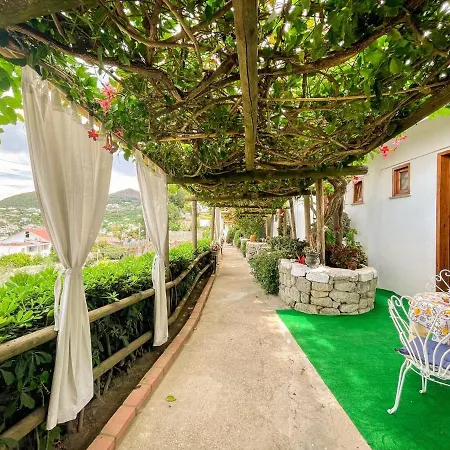 La Terrazza Sul Porto Konukevi